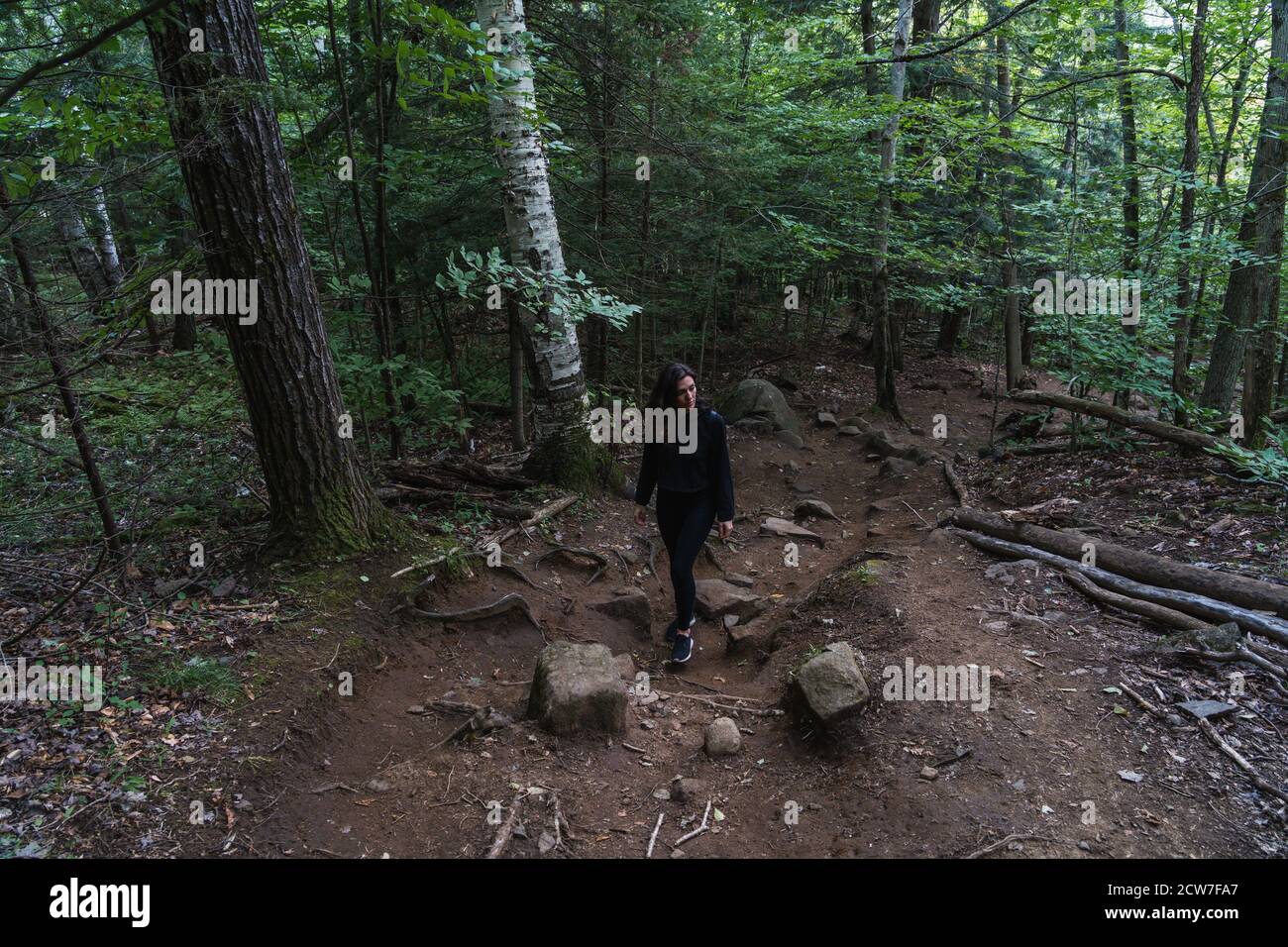 A young woman hiking on a trail in the Adirondacks Stock Photo - Alamy