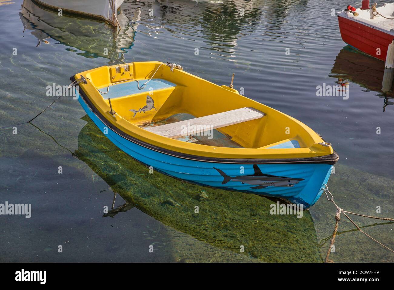 Small Dinghy. Isolated. Colorful dinghy with a shark painted on the bow . Stock Image. Stock Photo