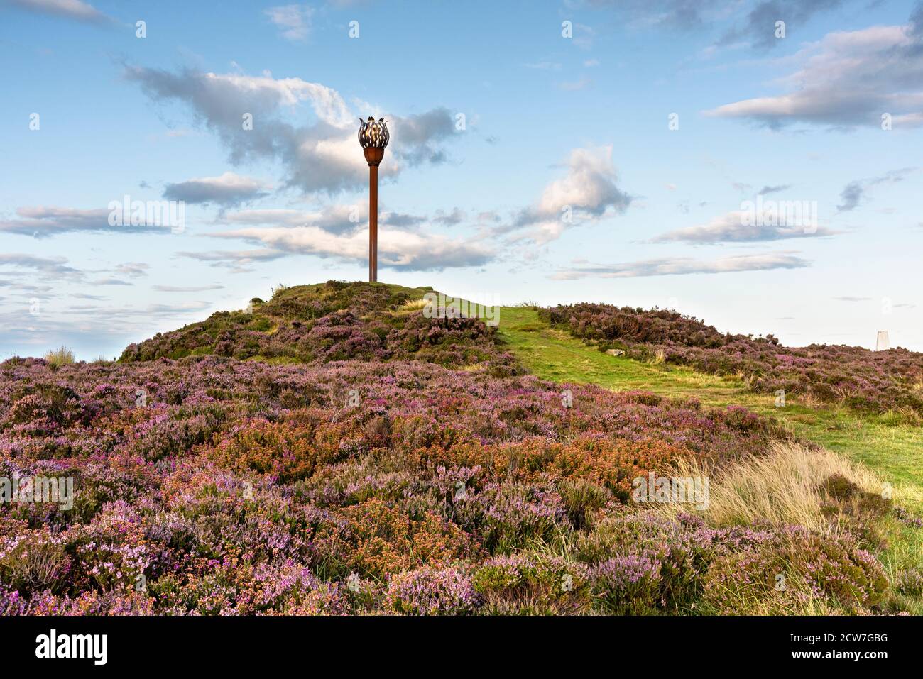 Heather at Danby Beacon on the North York Moors Stock Photo