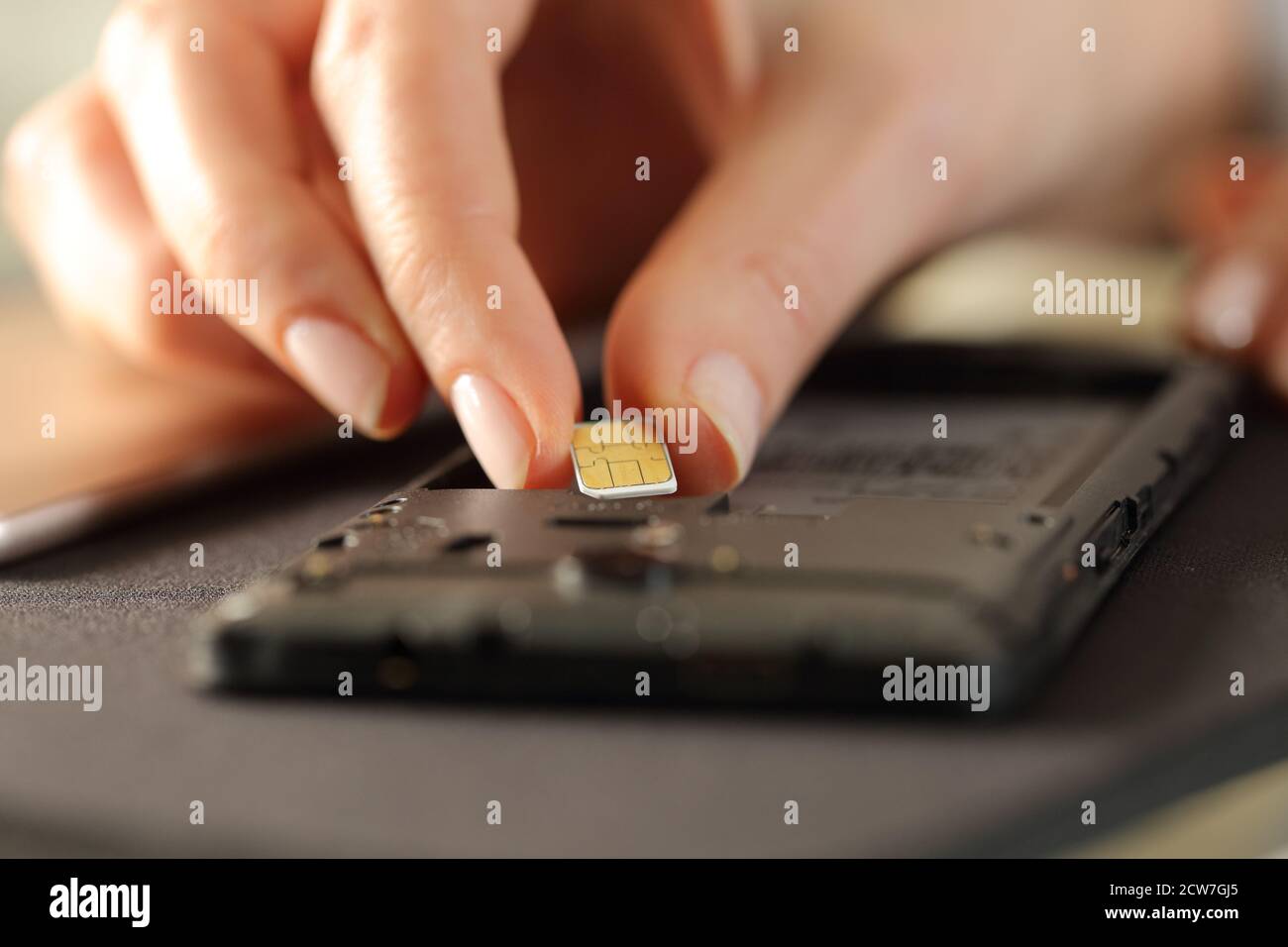 Closeup of woman hands putting sim card on smart phone on a desk Stock Photo