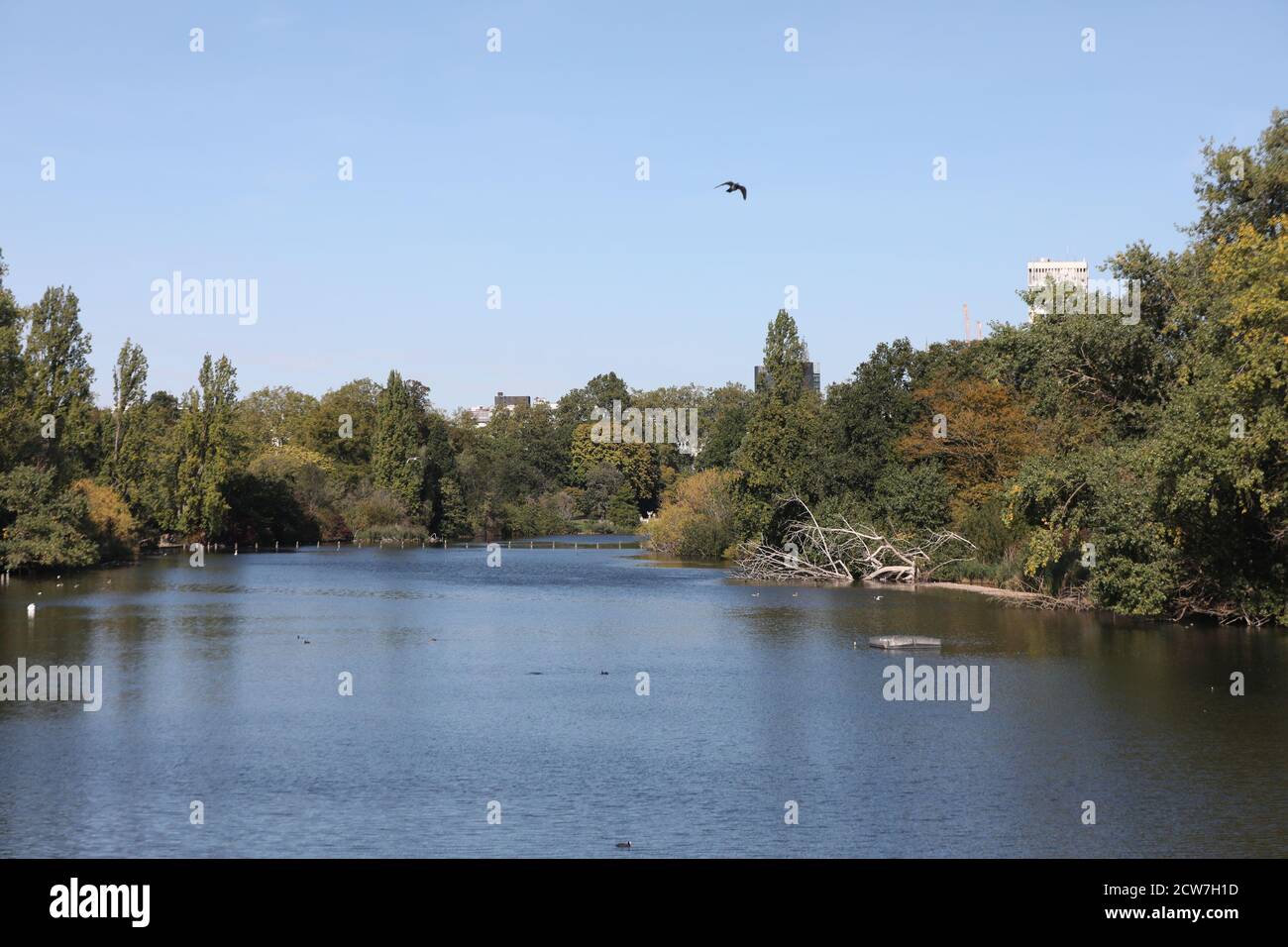RETRANSMITTING AMENDING LOCATION A view over the Serpentine lake in Hyde Park, London. Stock Photo