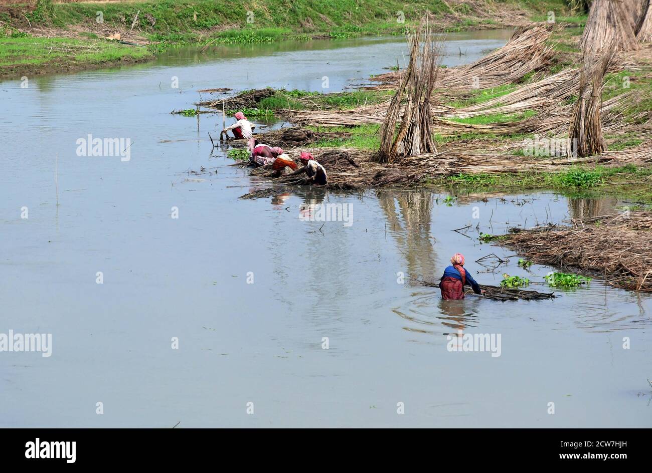 Kolkata, India. 26th Sep, 2020. Jute Industry is one of the oldest