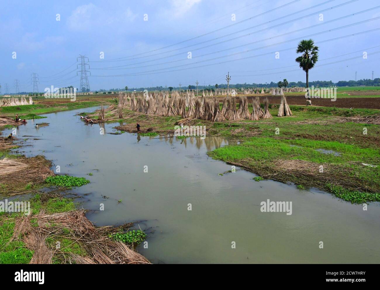 Kolkata, India. 26th Sep, 2020. Jute Industry is one of the oldest ...