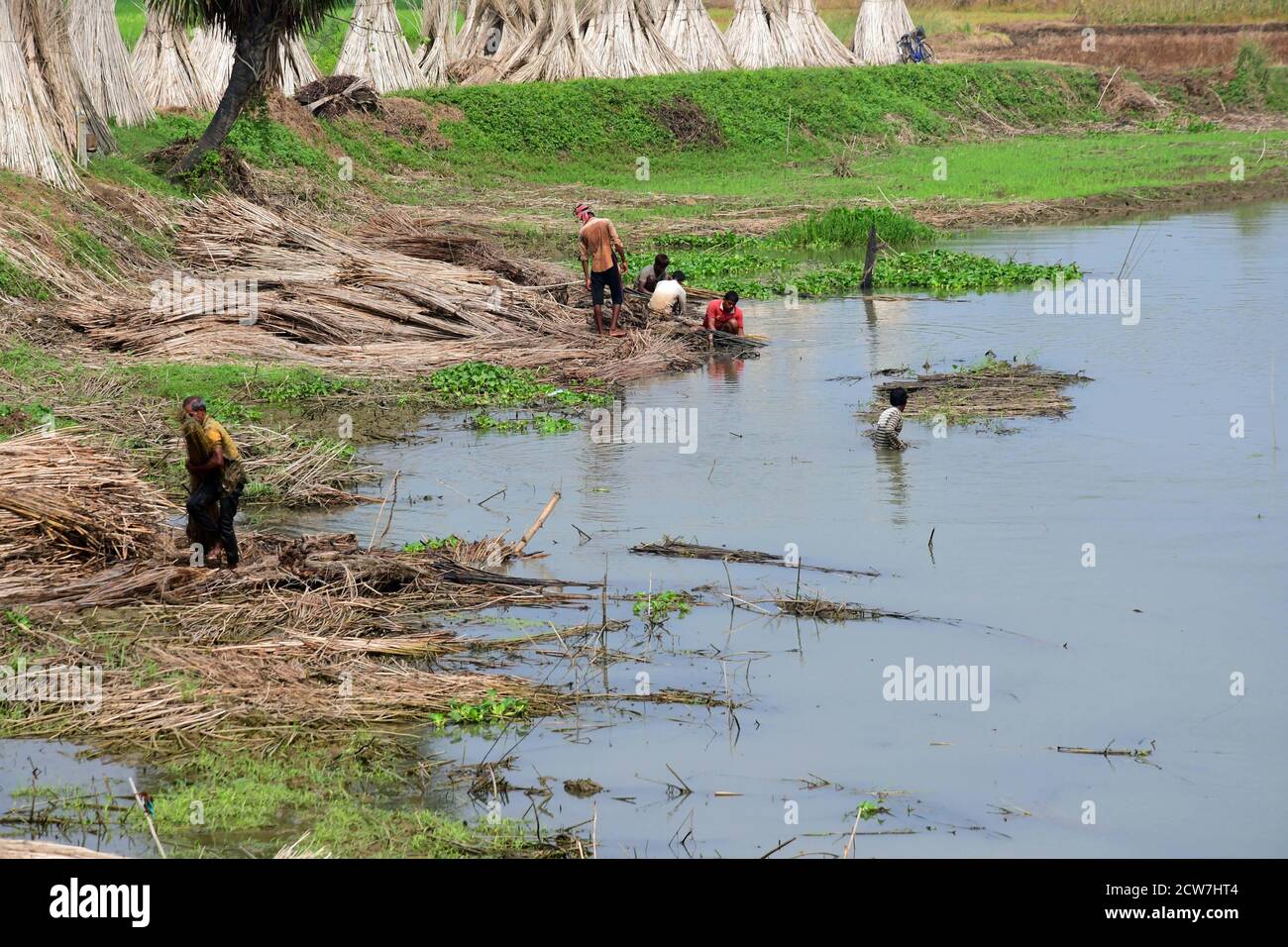 Kolkata, India. 26th Sep, 2020. Jute Industry is one of the oldest