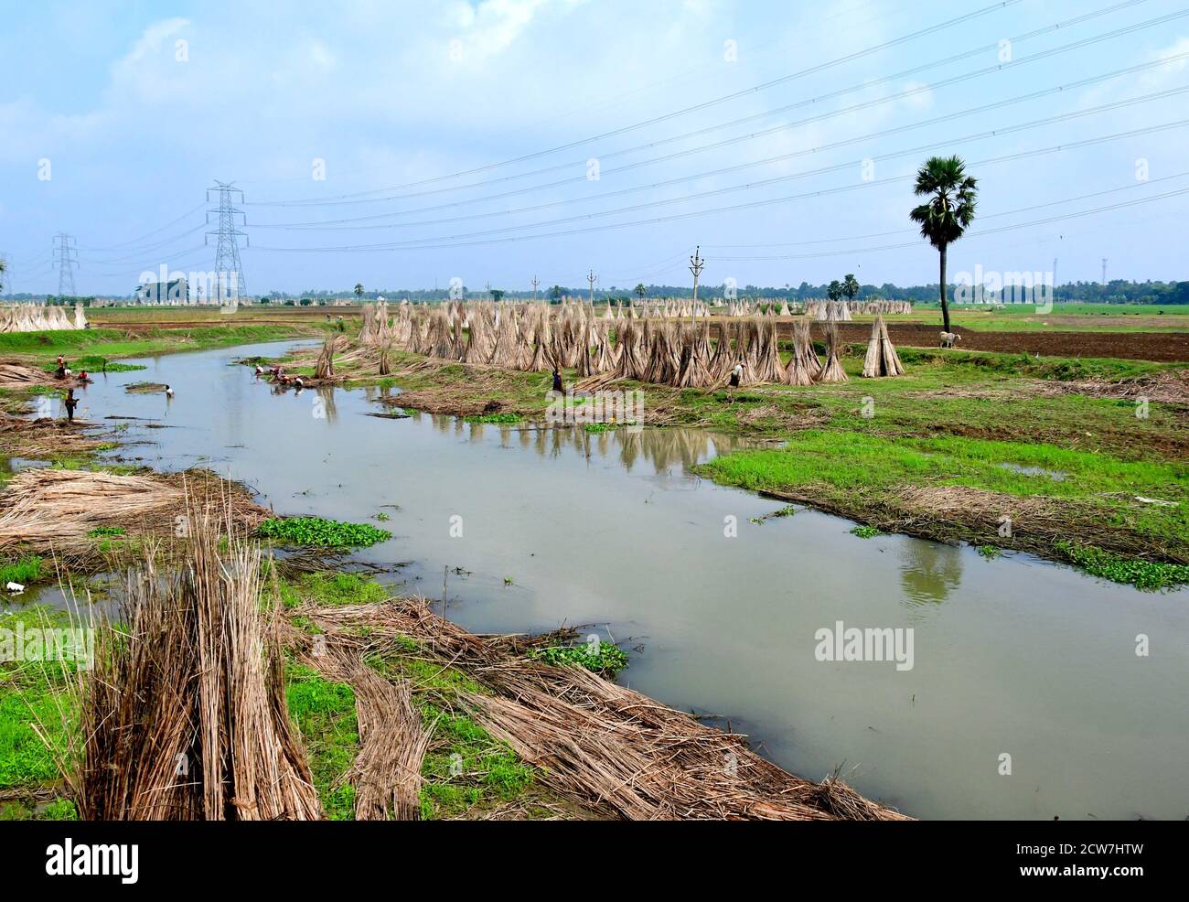 Kolkata, India. 26th Sep, 2020. Jute Industry is one of the oldest