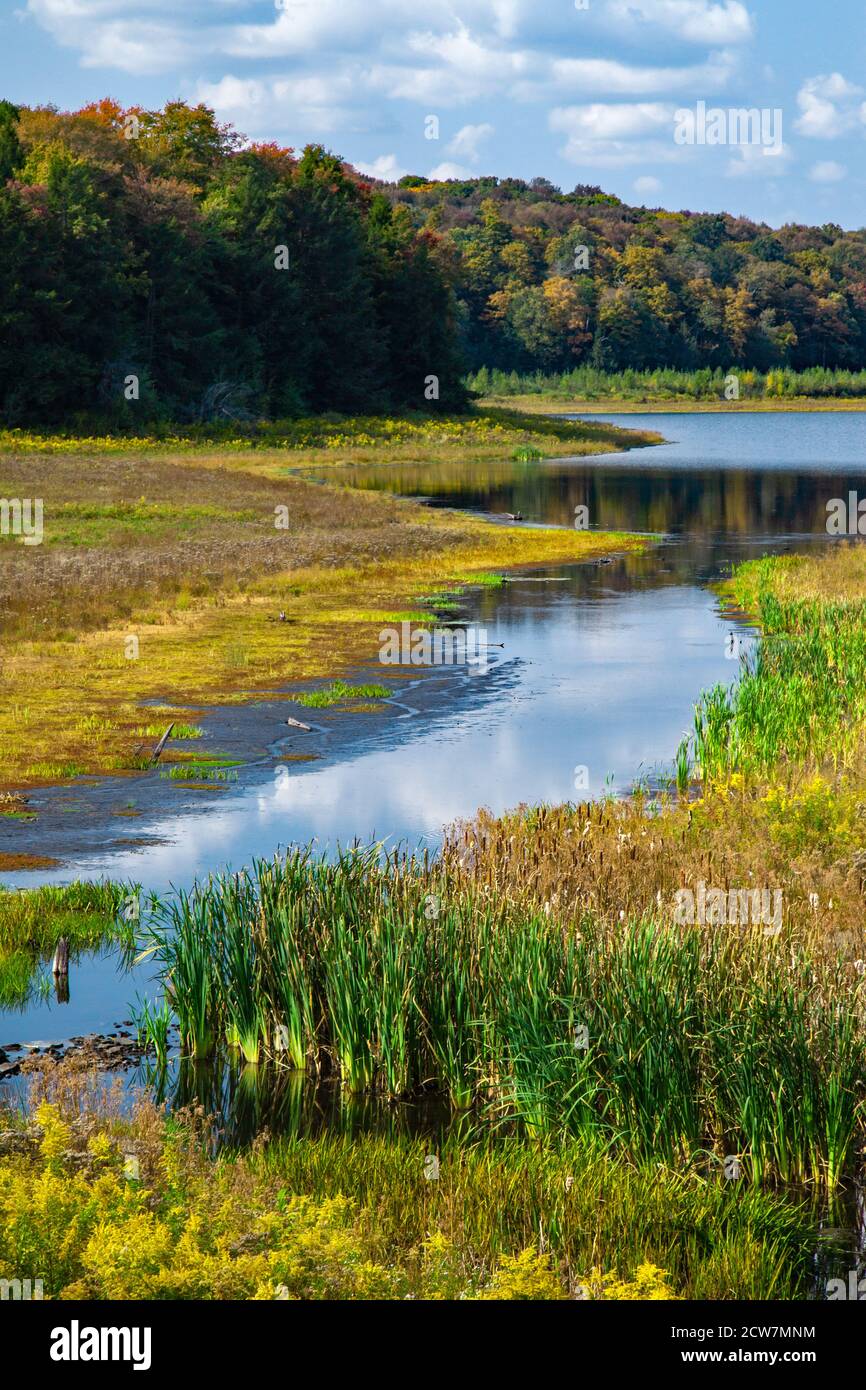 Lower Woods Pond is a 50-acre natural lake in northern Wayne County, Pennsylvania.  For years the outlet was dammed to increase the lake’s size to 91 Stock Photo