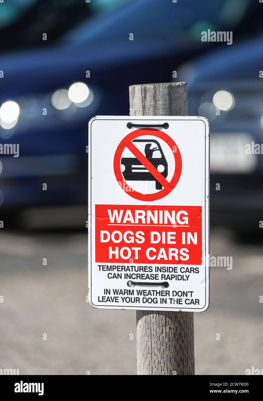 Dogs die in hot cars warning sign at a carpark in Dorset, UK Stock Photo