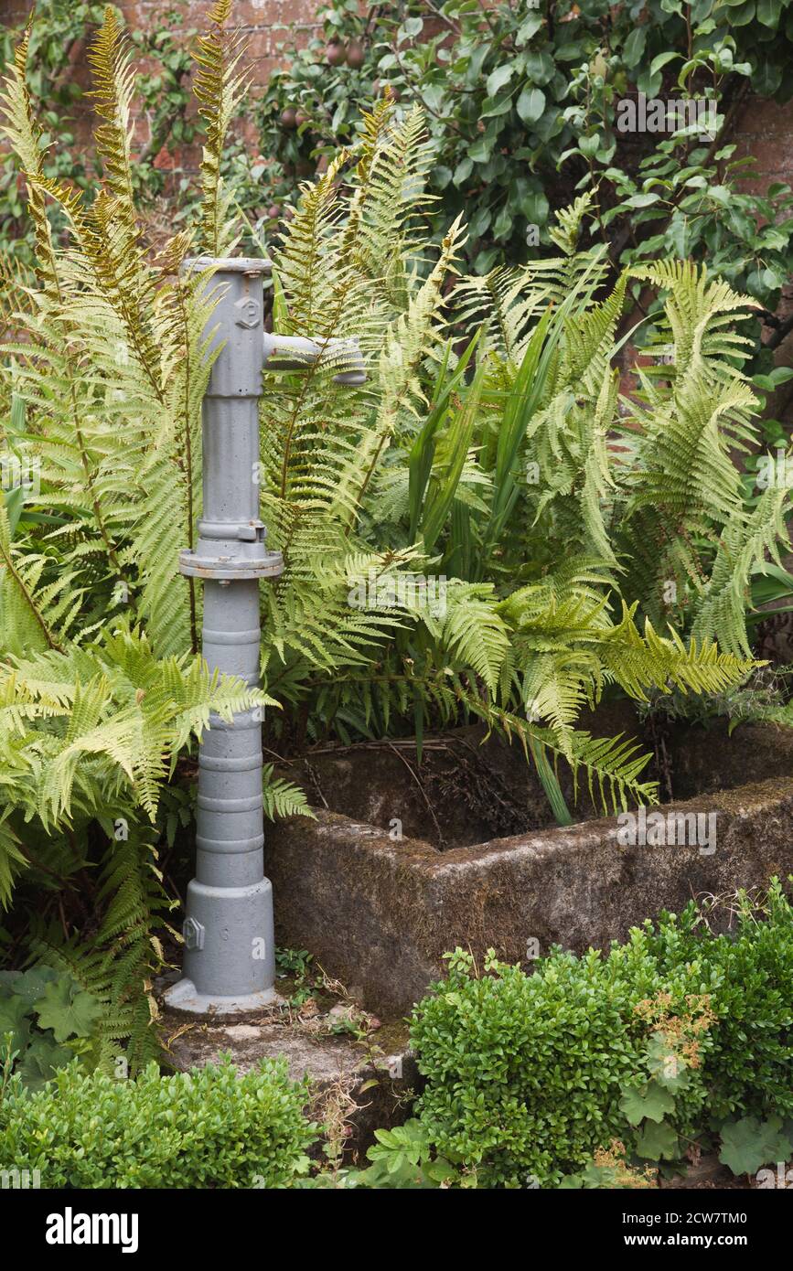 ornamental water feature surrounded by plant foliage Stock Photo Alamy