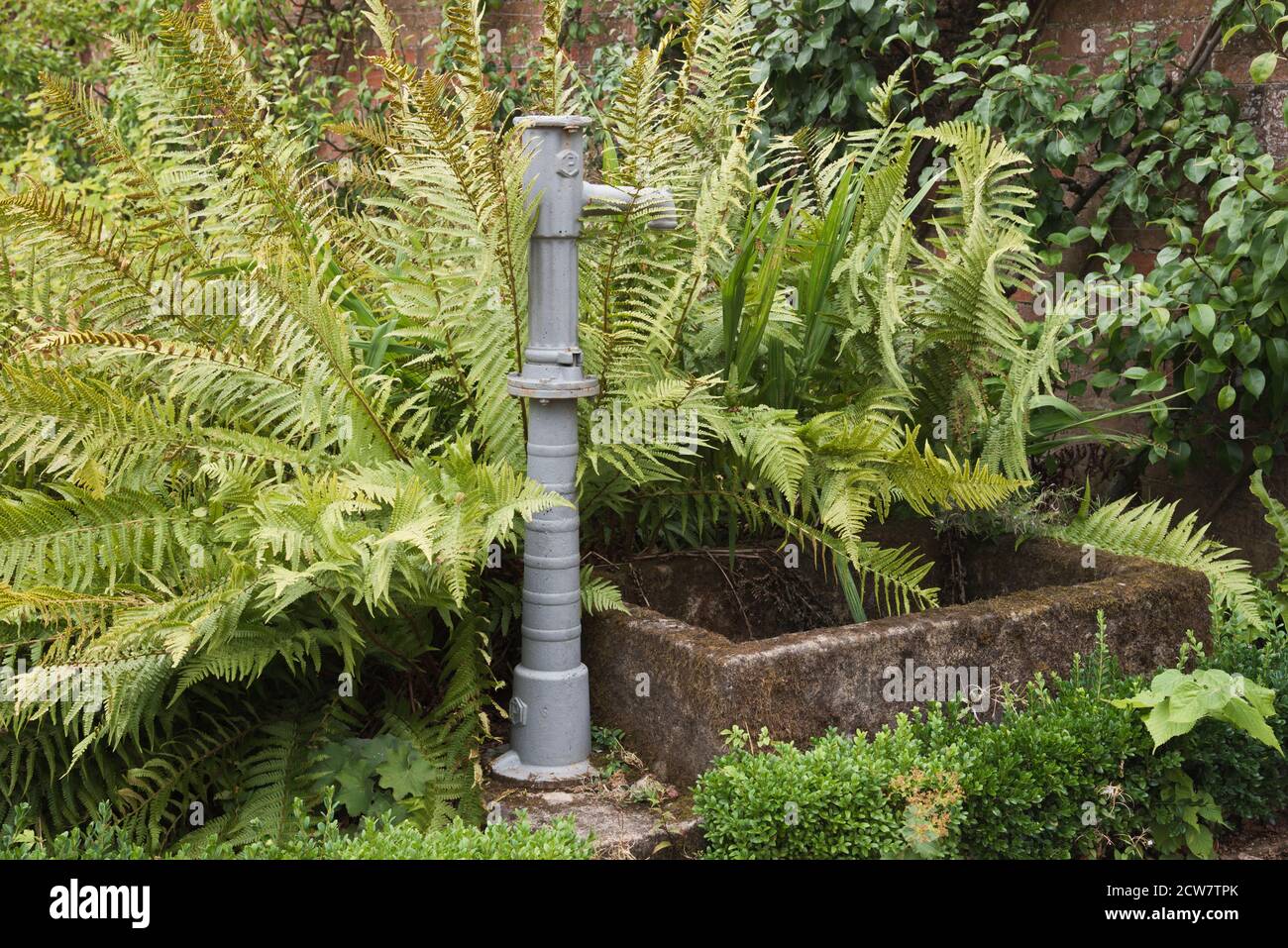 ornamental water feature surrounded by plant foliage Stock Photo Alamy