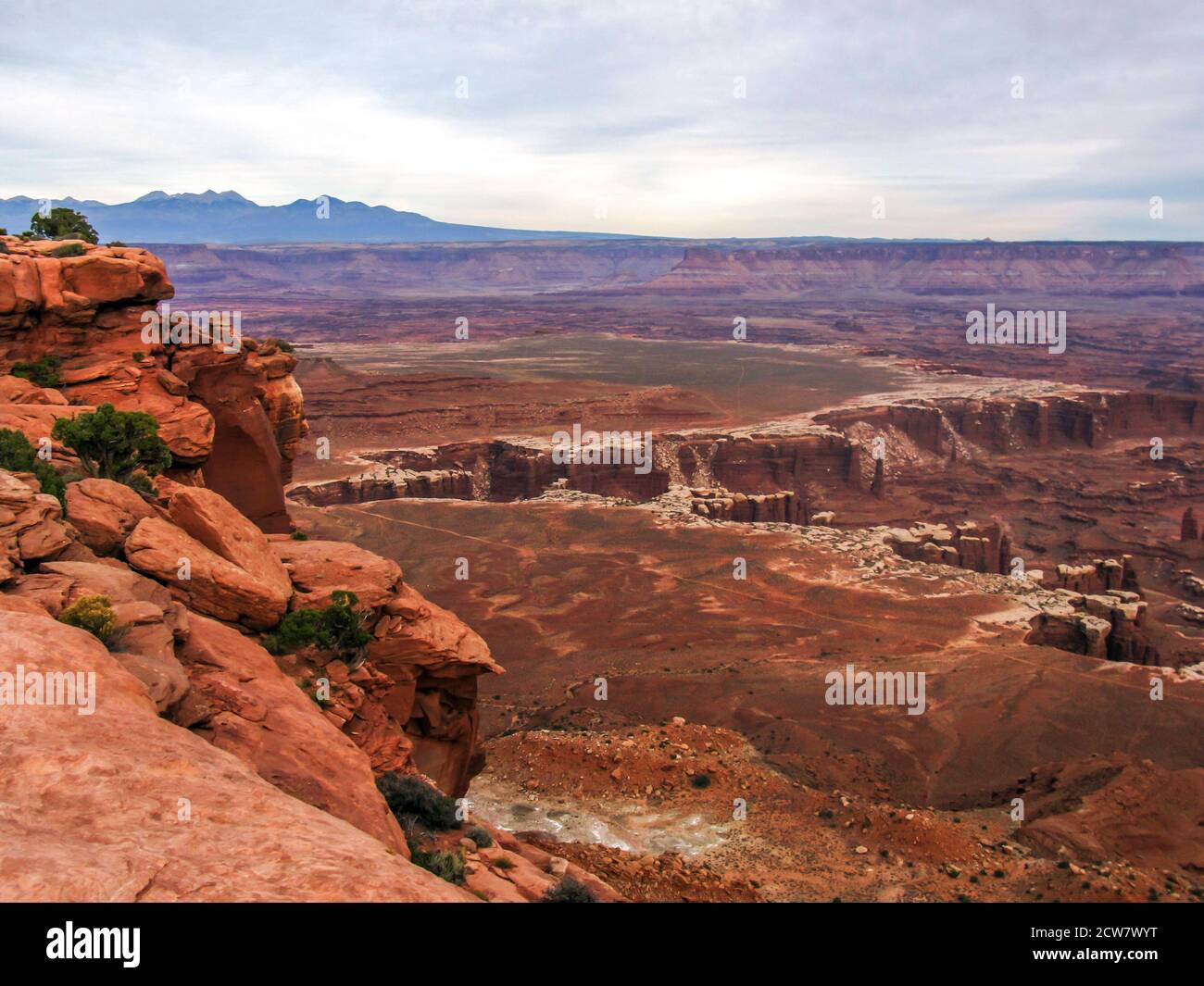 The Confluence of the Colorado and the Green River as seen from the