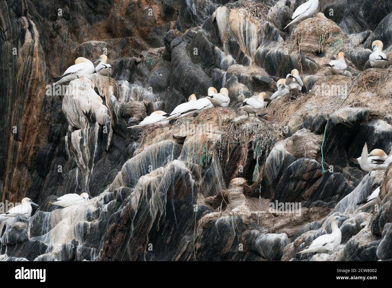 RUNDE, NORWAY 2019 JULY. Plastic pollution critical point Stock Photo