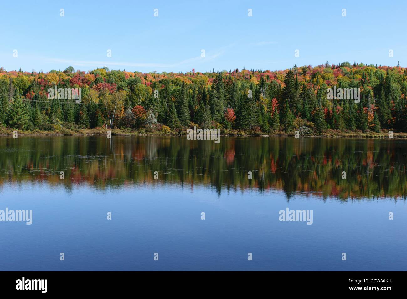 autumn landscape reflected on water Stock Photo