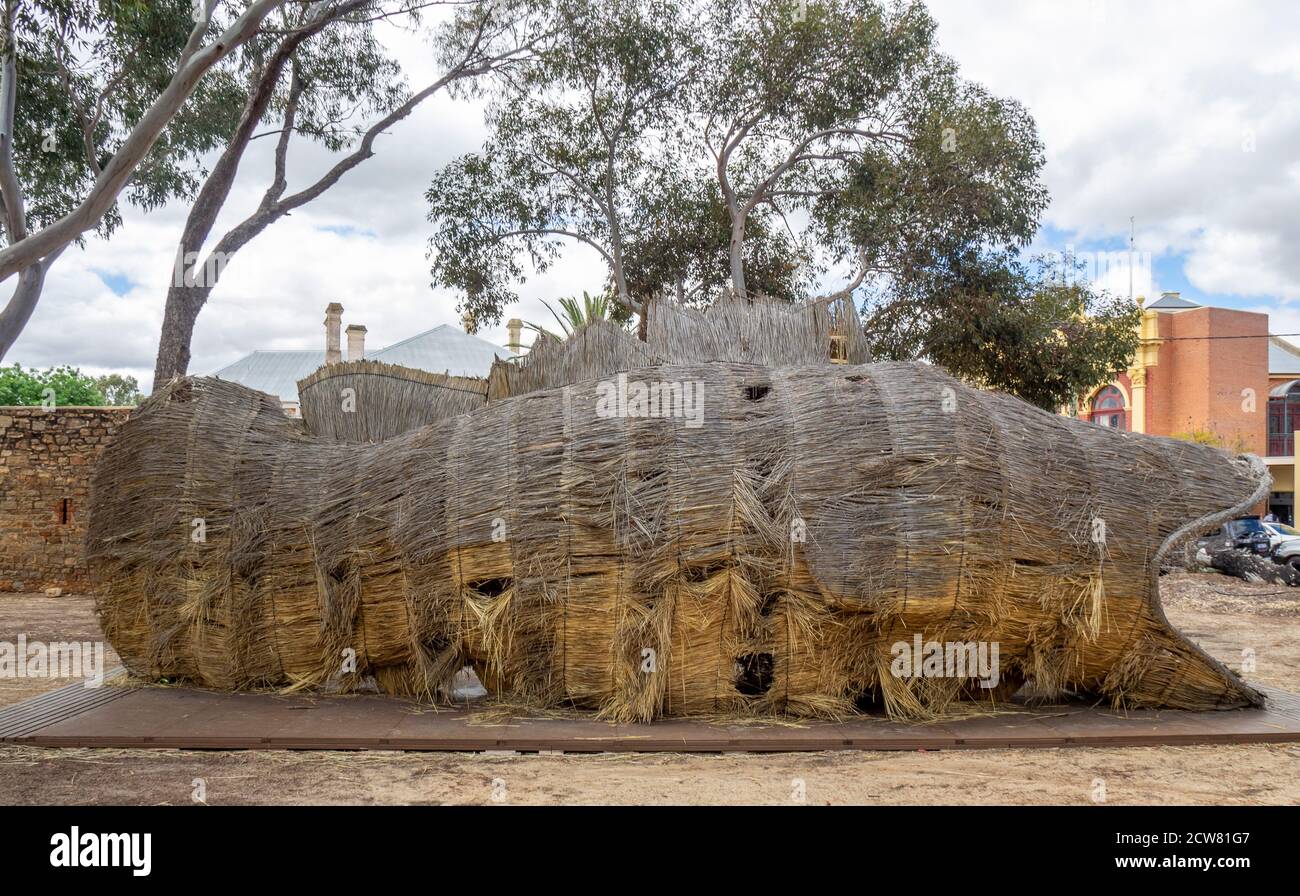 Wheat straw sculpture of Murray cod designed by Shingo Miyajima and Masaharu Noguchi Wara art trail York Western Australia. Stock Photo