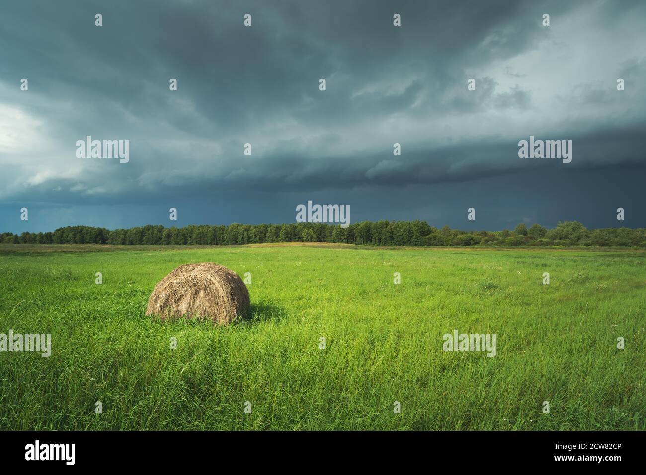 Hay bale on green meadow and dark stormy cloud Stock Photo - Alamy