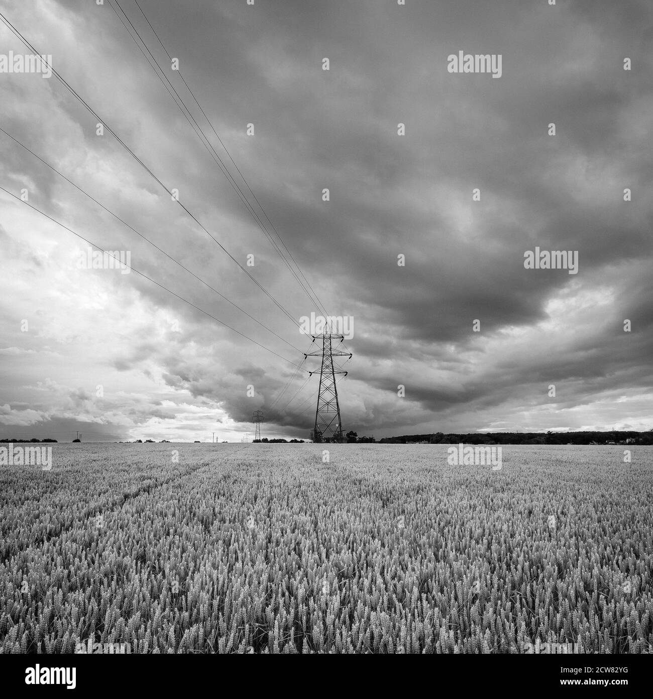 Suffolk crops Black and White Stock Photos & Images - Alamy