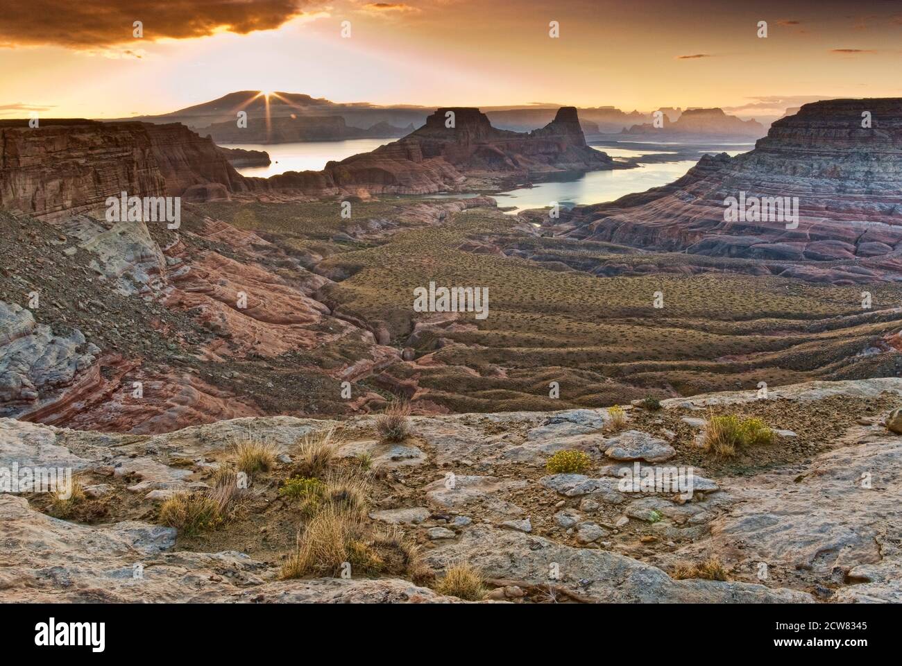 Gunsight Butte at Lake Powell, sunrise, view from Romana Mesa, Glen