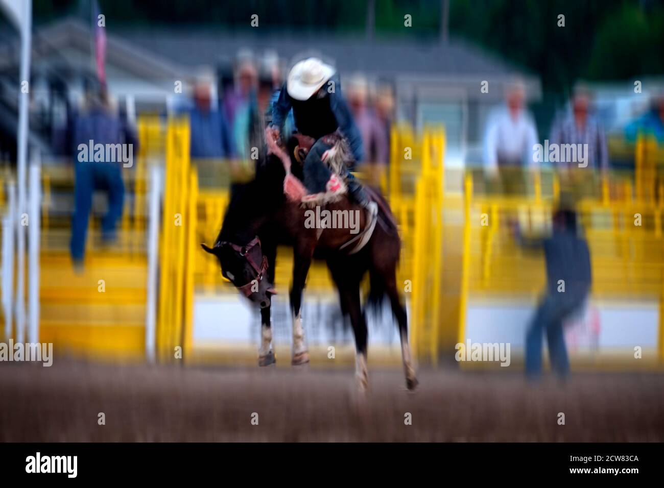 Cowboy riding bucking bronco at rodeo competition 8 seconds ride Stock