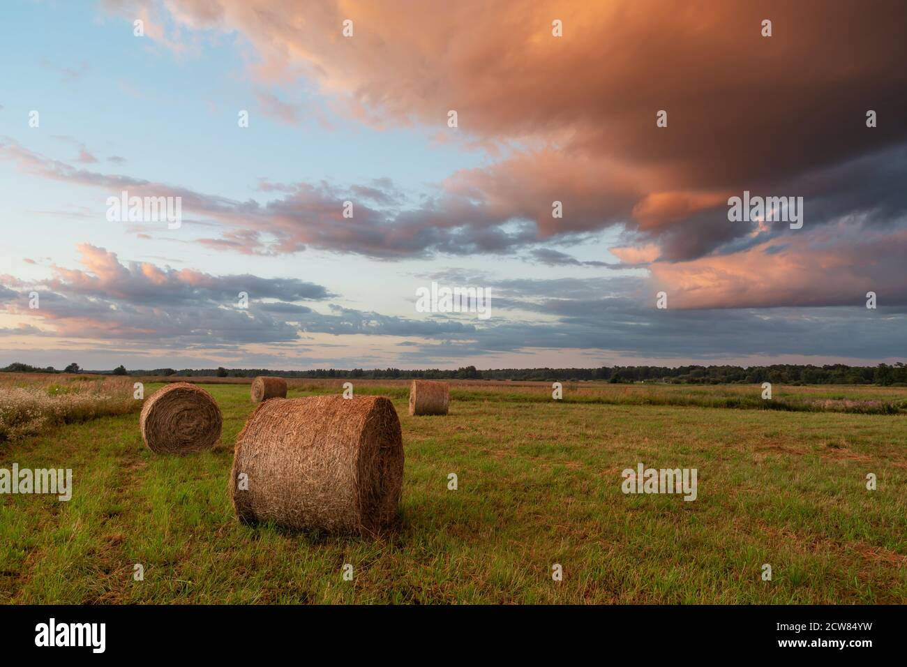 Hay bales in the field and colored clouds in the sky Stock Photo - Alamy