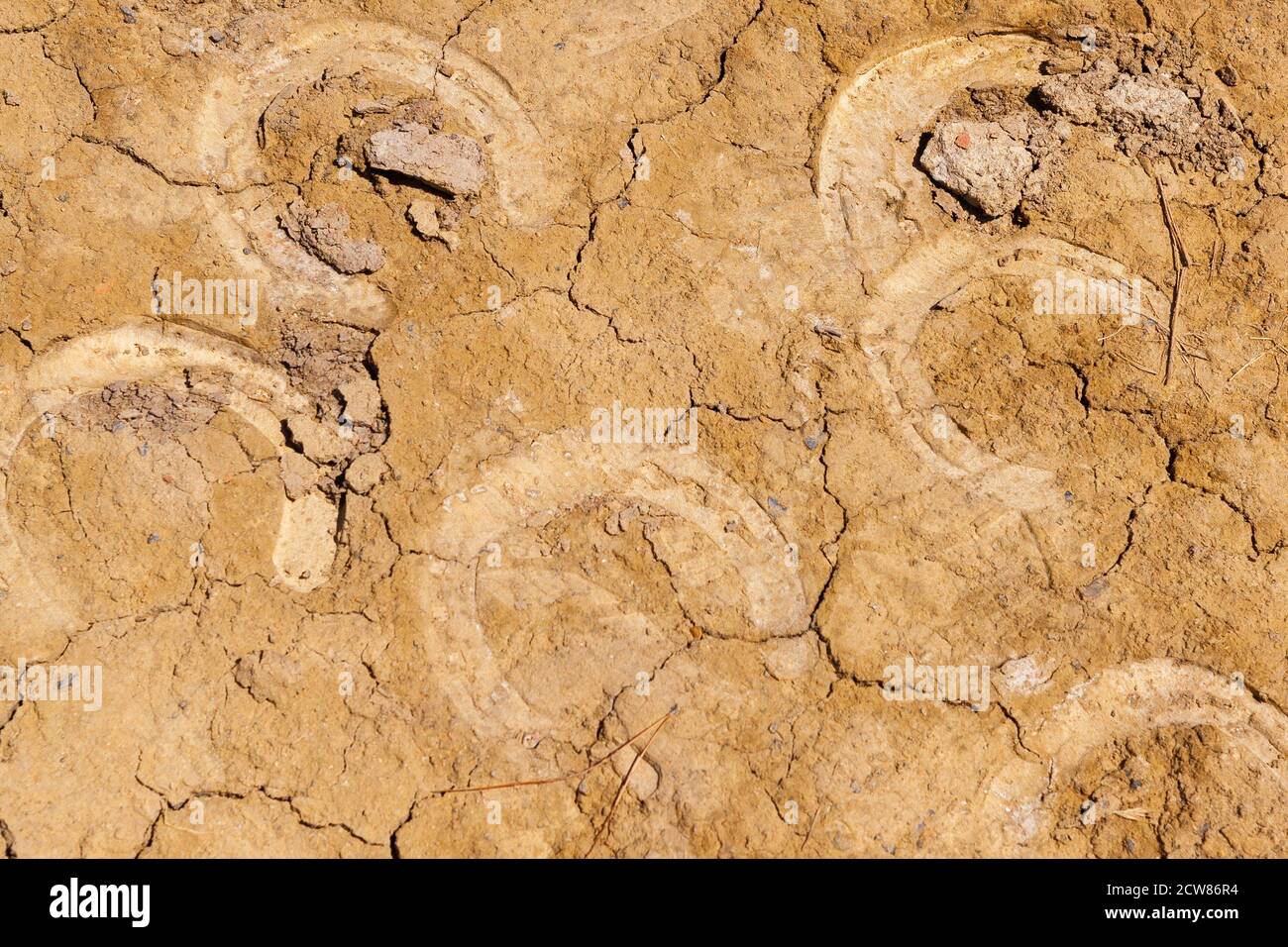 Horse Footprints High Resolution Stock Photography and Images Alamy