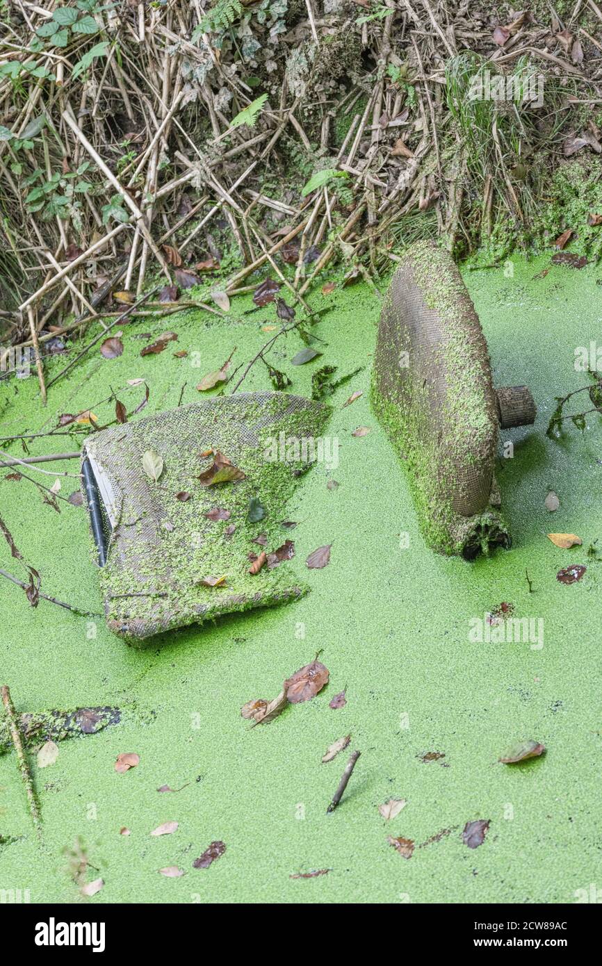 Remains of an old office chair / seat dumped in a stagnant drainage channel with green duckweed. For fly-tipping, stagnant, dumped, rubbish. Stock Photo