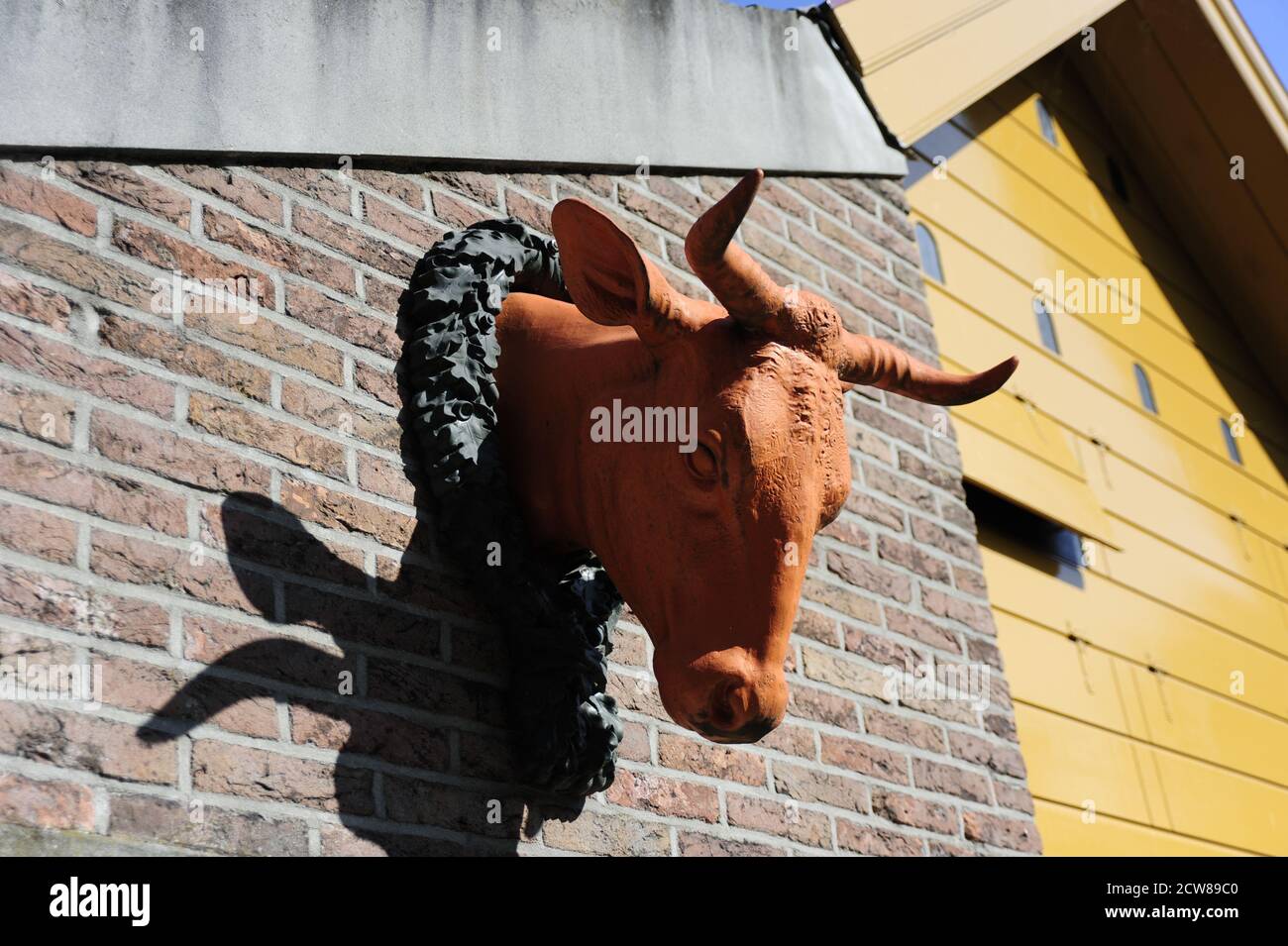Bull head sculpture on the building under the sunlight Stock Photo Alamy