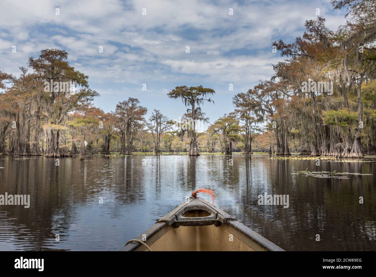 Canoeing on the Caddo Lake between Cypres trees, Texas Stock Photo