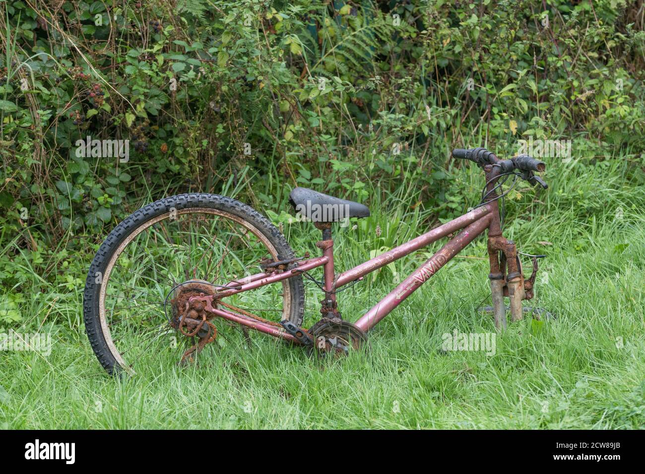 Vivid apollo bike sales