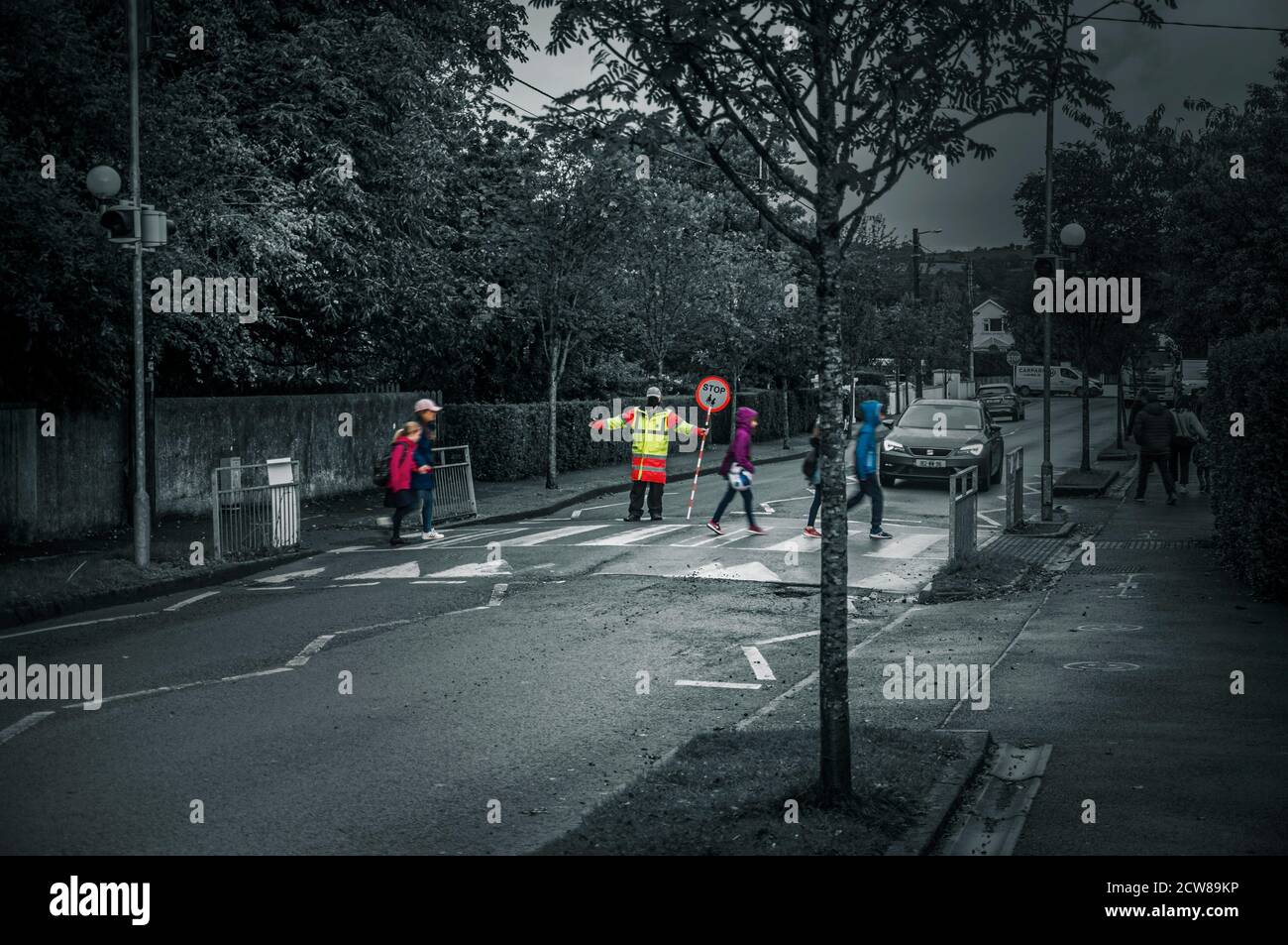 Everyday life. School run: Kids crossing the road with help of crosswalk attendant. Greystones. Ireland. Stock Photo