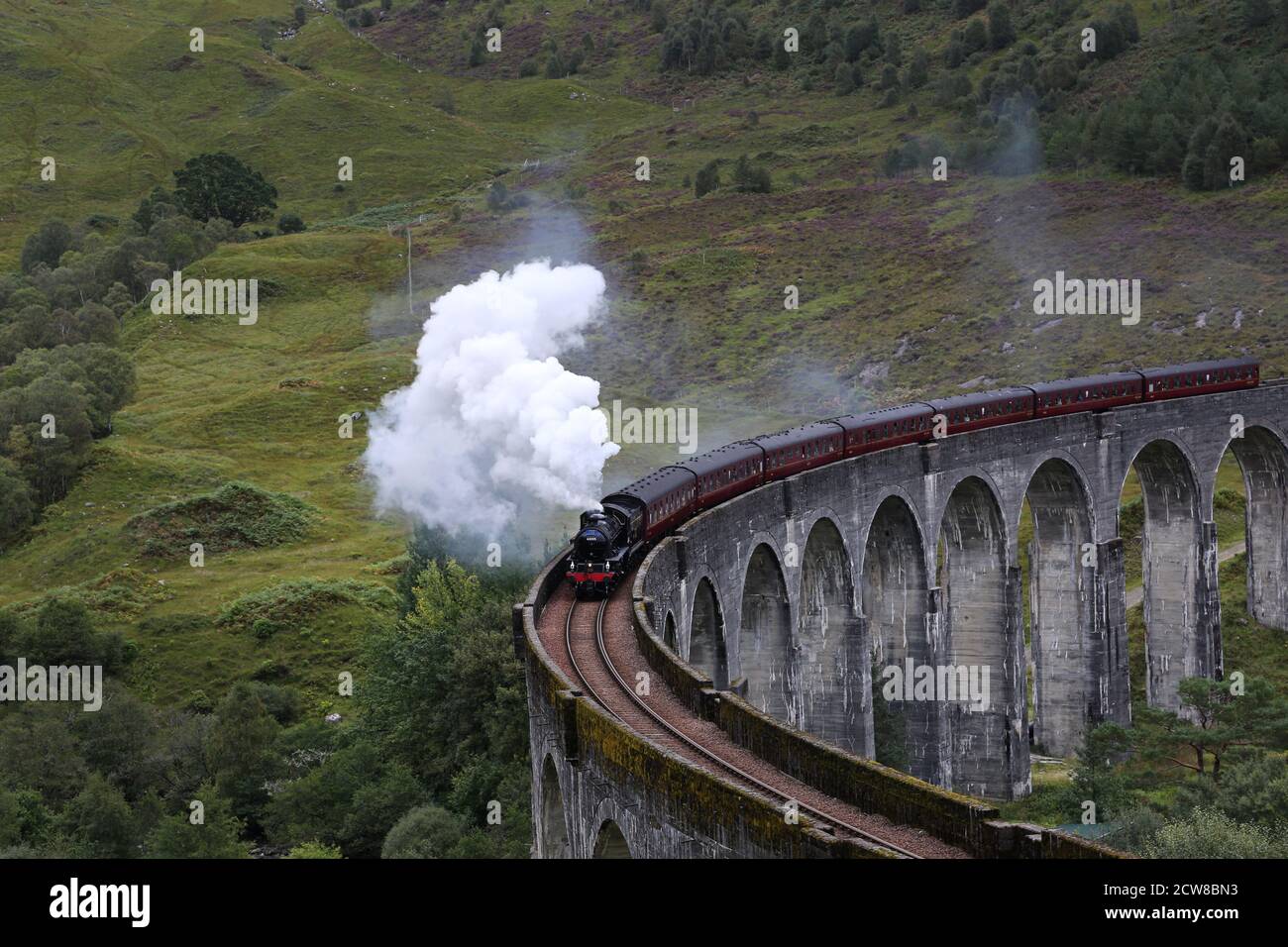 JACOBITE STEAM TRAIN EXPERIENCE visual data 2