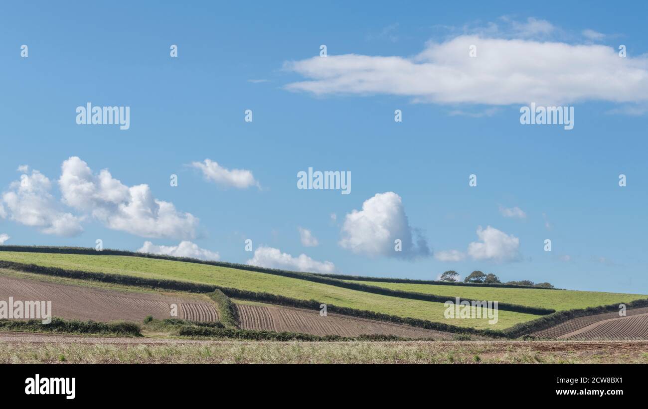 16:9 widescreen of patchwork of fields in Cornwall, with blue summer sky and fluffy clouds. For UK agriculture and farming. Stock Photo