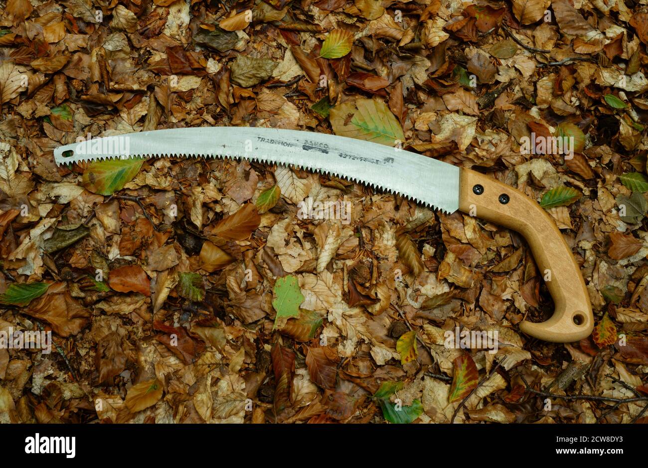 Fiskars 15 In Pruning Saw Review Best Tree Saw atelieryuwa.ciao.jp