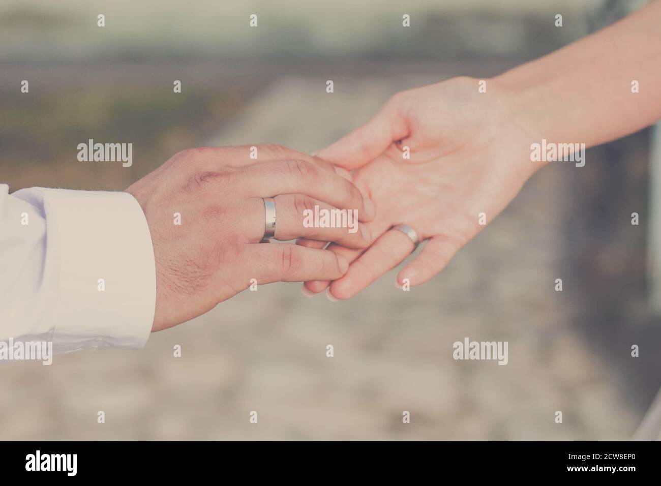 Bride And The Groom Holding Hands For Putting Rings At Their Wedding Ceremony Stock Photo Alamy