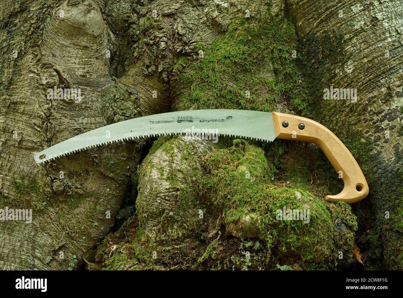 A pruning saw resting on a tree trunk Stock Photo Alamy