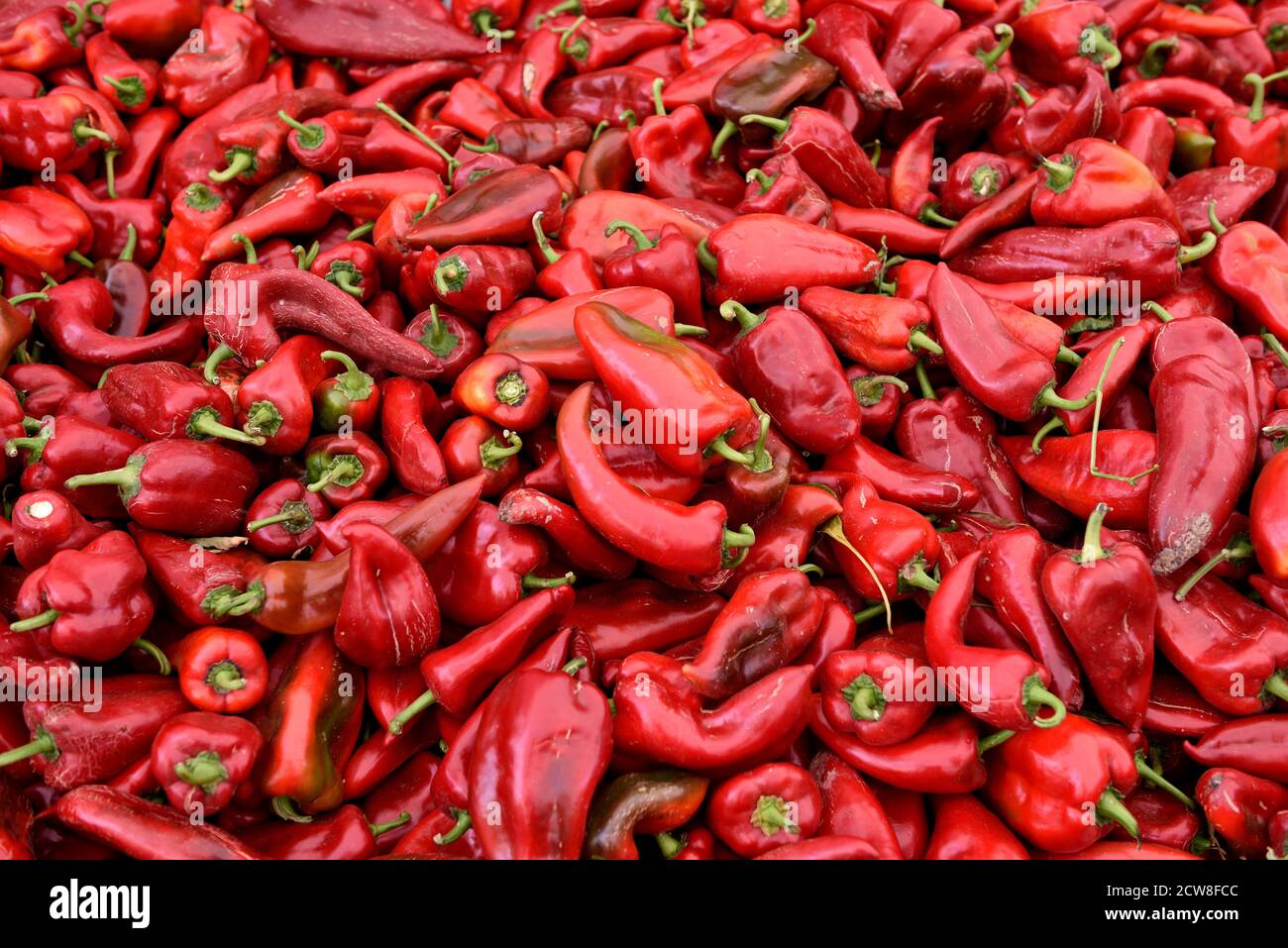 Turkish Red Peppers, fresh raw organic Turkish hot red peppers or Aleppo peppers in a farmers produce market in Istanbul, Turkey Stock Photo