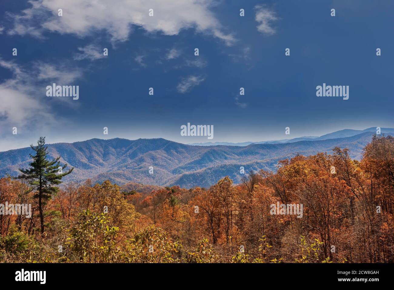 Autumn colors and the Blue Ridge Mountain range in North Carolina. Stock Photo