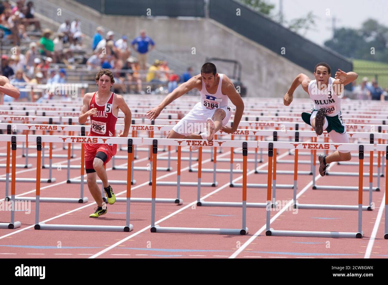 Austin, TX May 10, 2008: African-American, Anglo boys strain towards the finish line in the 110-meter high hurdles at the Texas high school state championship track meet at the University of Texas at Austin. ©Bob Daemmrich Stock Photo