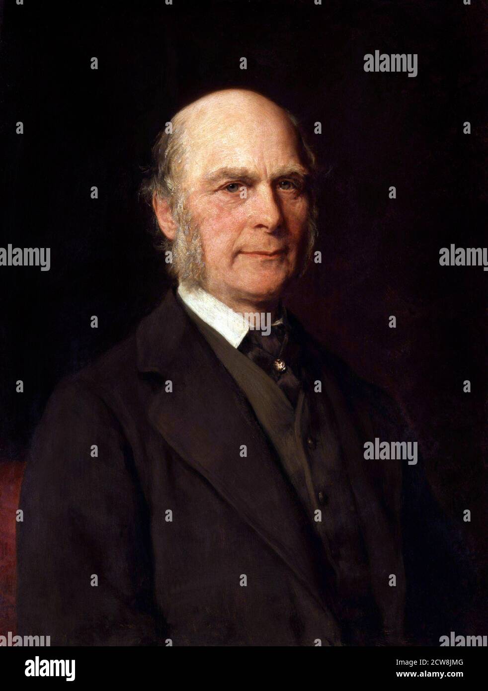 Francis Galton. Portrait of the English Victorian era statistician and polymath, Sir Francis Galton (1822-1911) by Gustav Graef, oil on canvass, 1882 Stock Photo