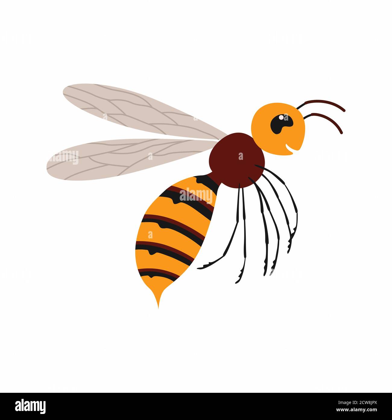 Hornet insect. Vector illustration Isolated on white background. Stock Vector