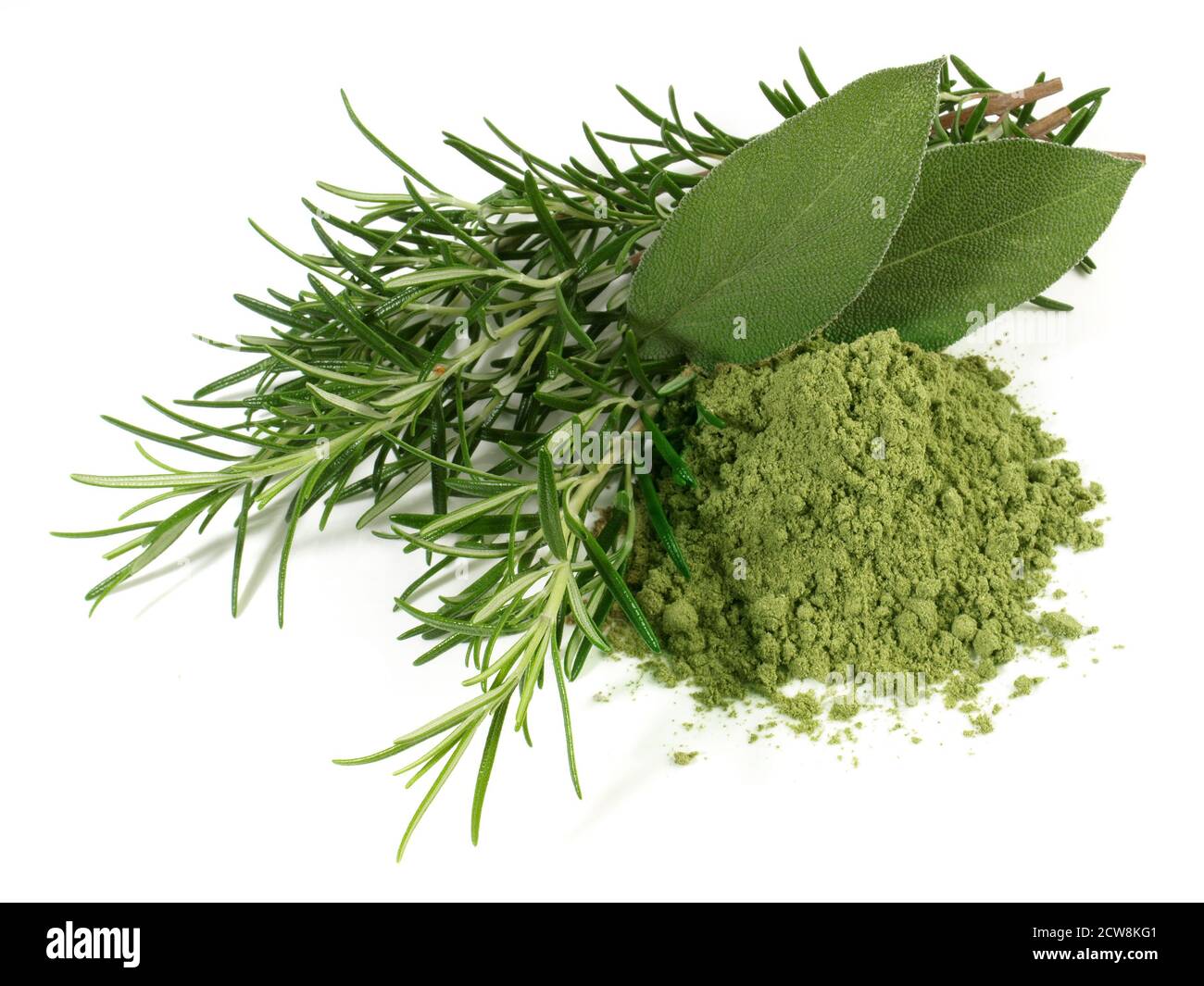 Fresh Rosemary and Sage with Powder isolated on white Background Stock Photo
