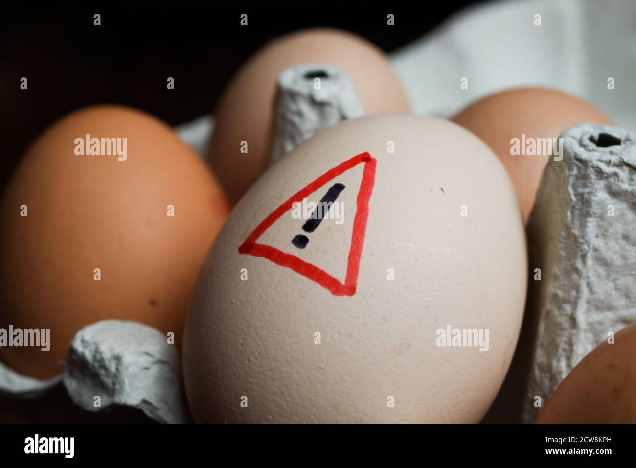 Closeup of isolated raw brown eggs in carton box with warning sign