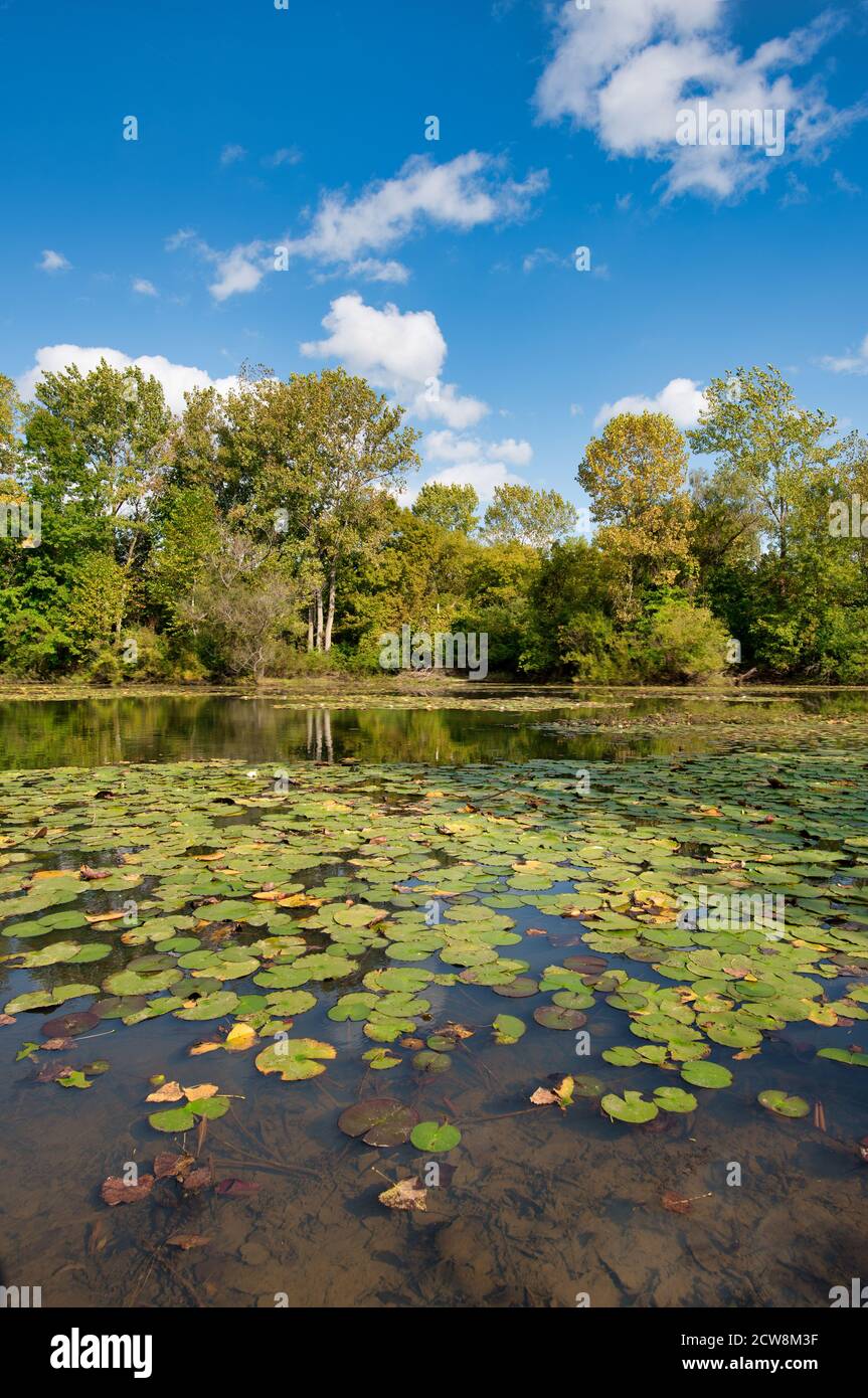 Cuyahoga Valley National Park in Fall Stock Photo - Alamy