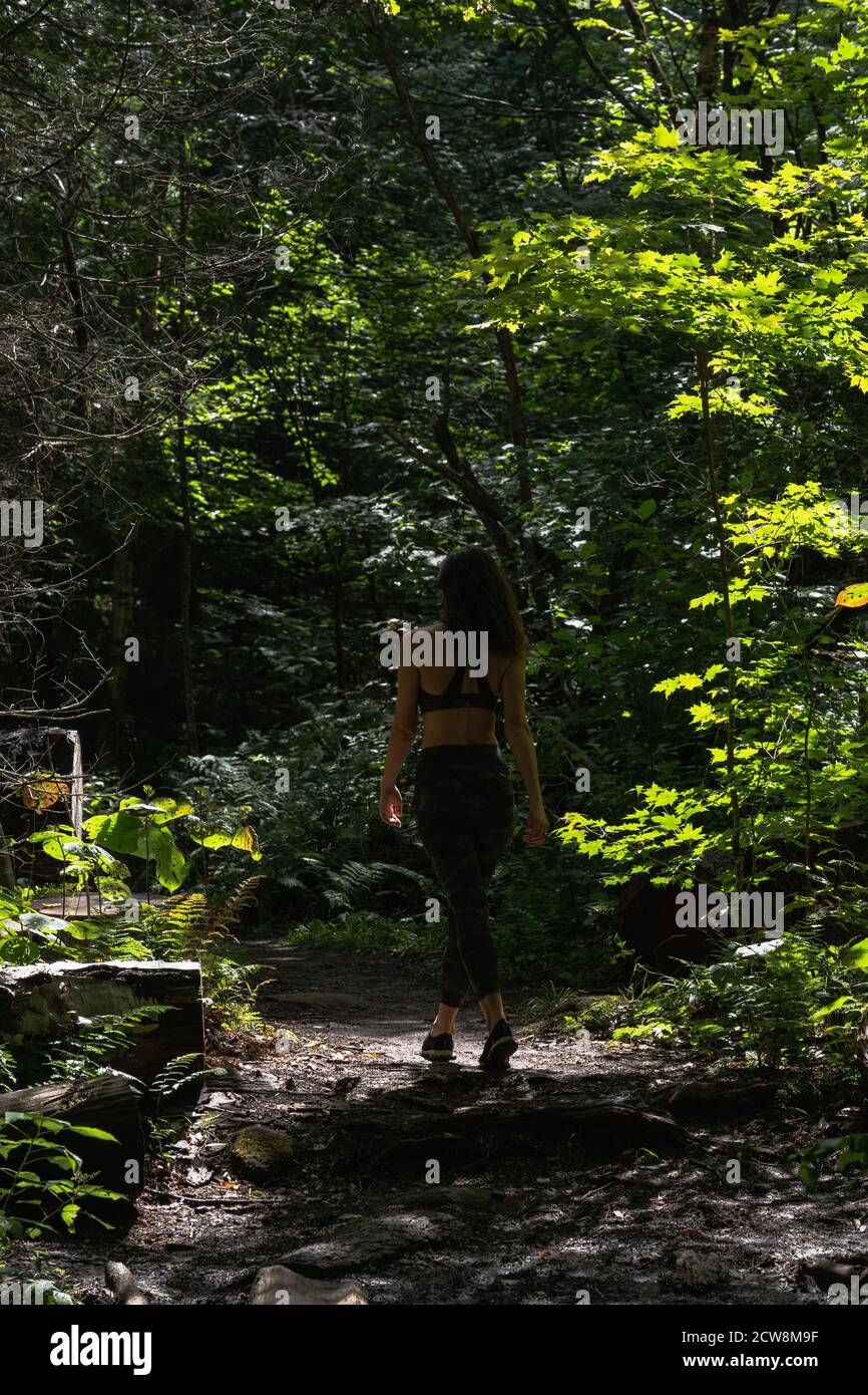 A young woman hiking on a trail in the Adirondacks Stock Photo - Alamy