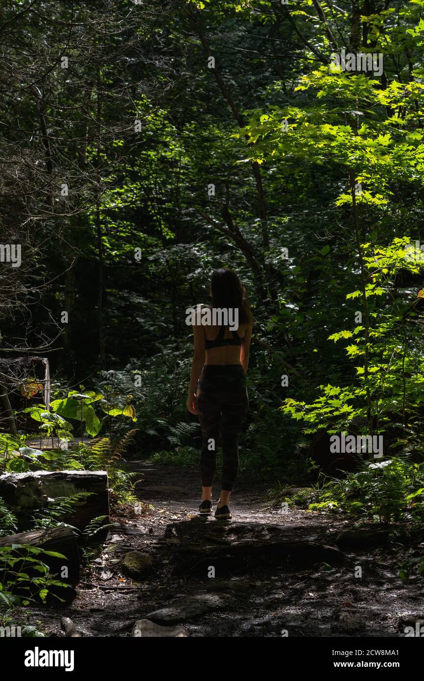 A young woman hiking on a trail in the Adirondacks Stock Photo - Alamy