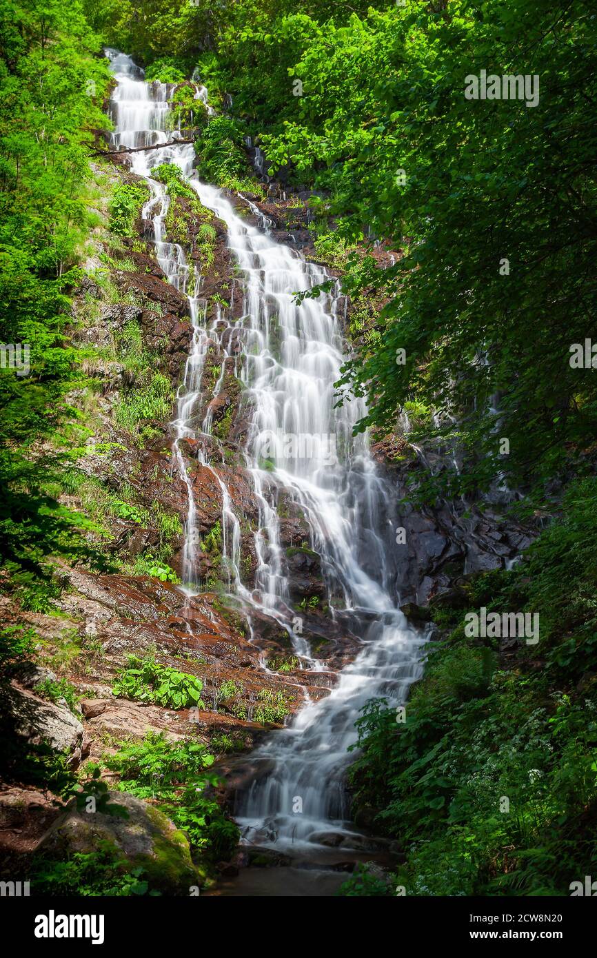Powerful Pilj waterfall on Old mountain (Stara planina) in Serbia, cascading down the wet, red rocks and surrounded by vivid green trees Stock Photo