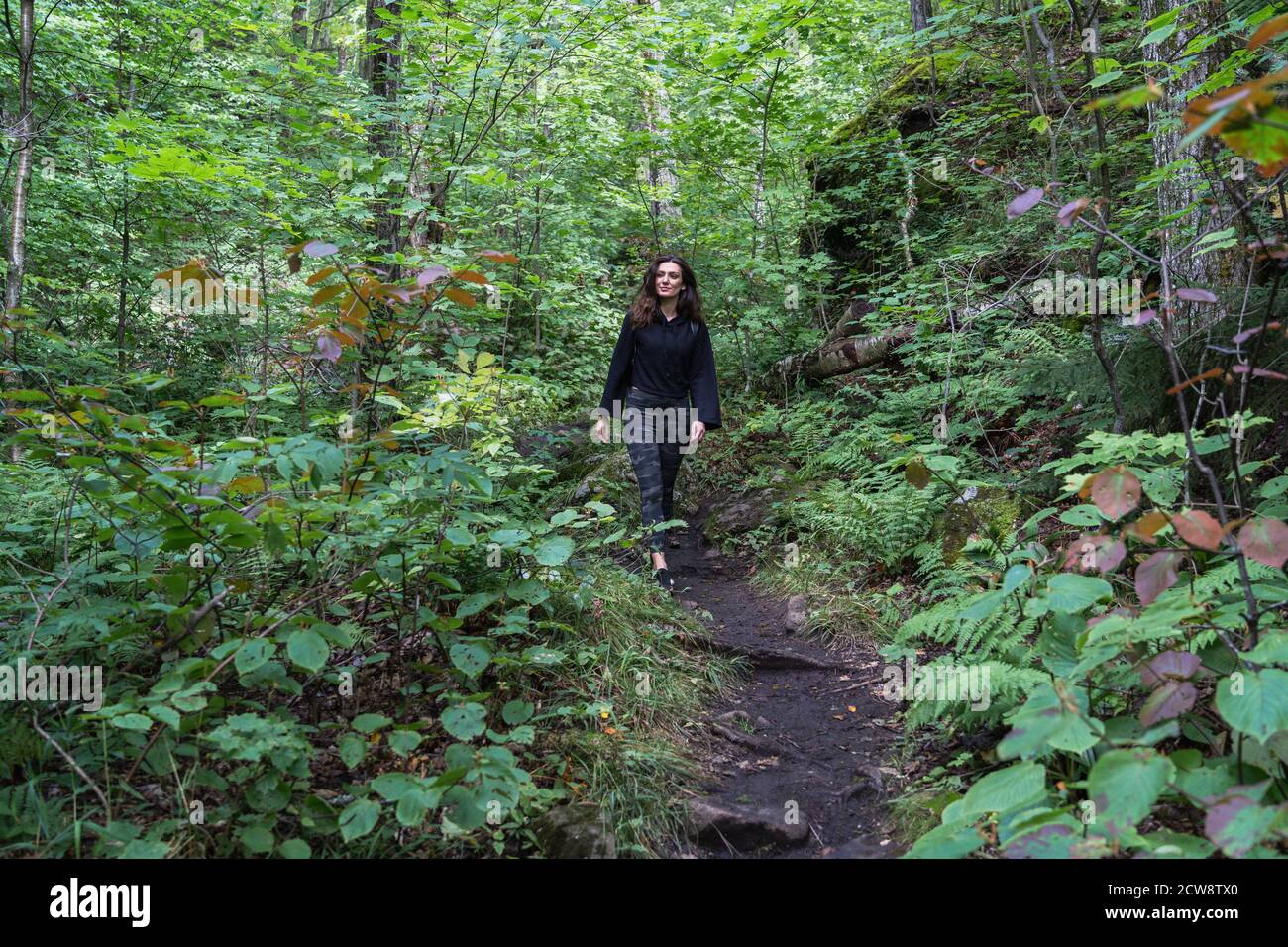 A young woman hiking on a trail in the Adirondacks Stock Photo - Alamy