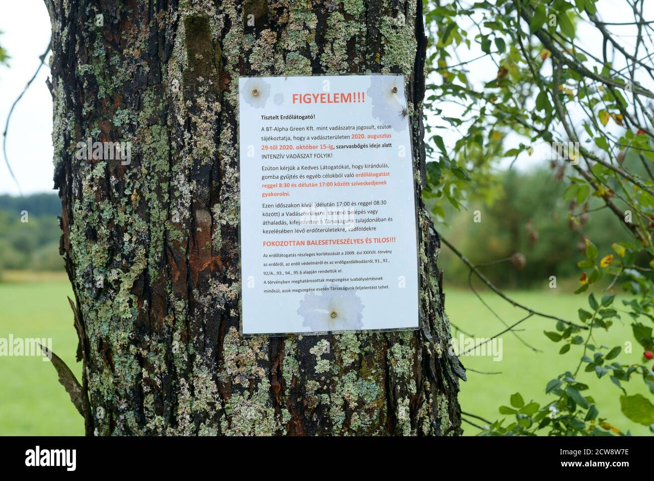 warning notice pinned to tree alerting people to the dangers of walking in the area during certain hours due to shooting and hunting season hungary Stock Photo