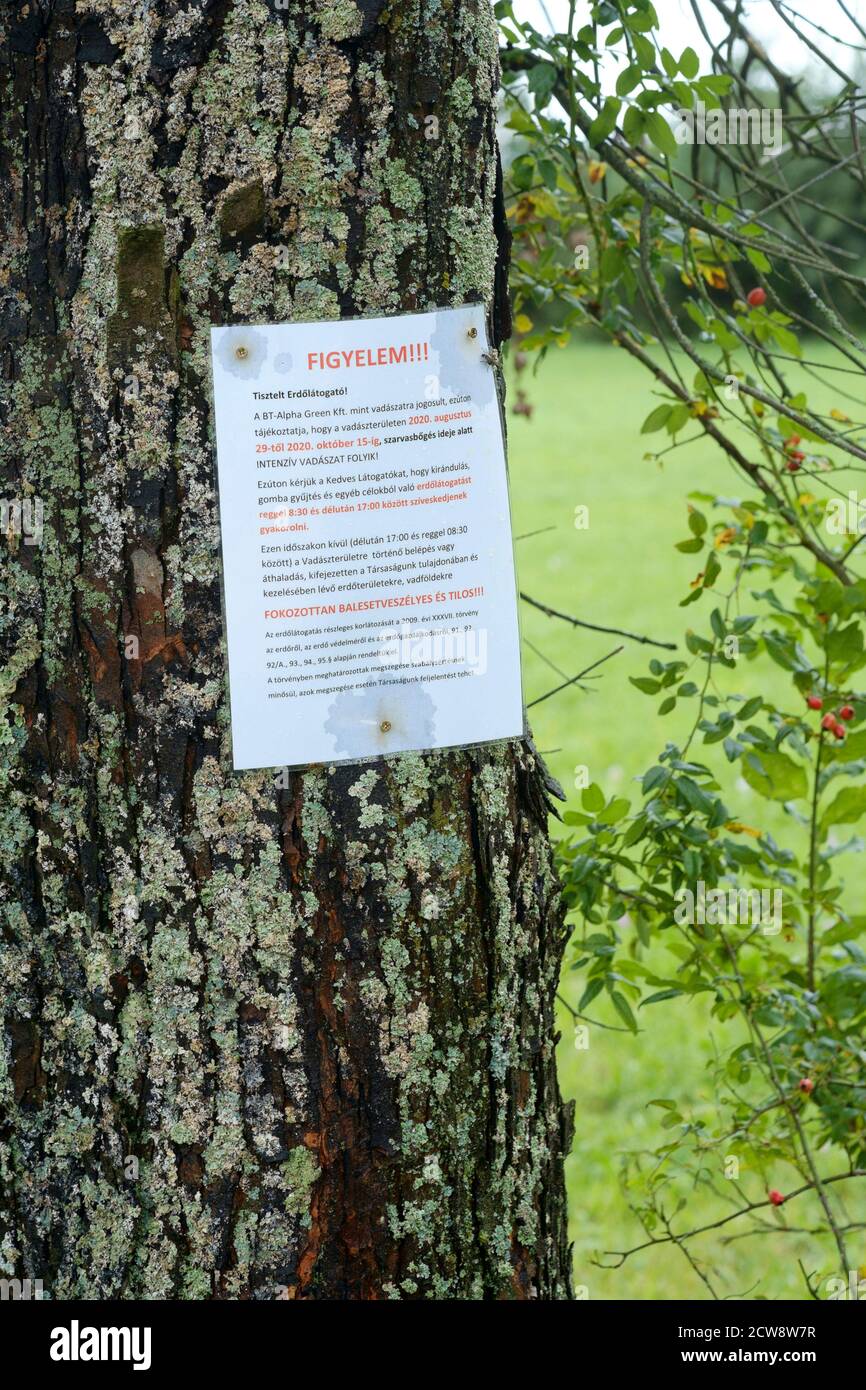 warning notice pinned to tree alerting people to the dangers of walking in the area during certain hours due to shooting and hunting season hungary Stock Photo