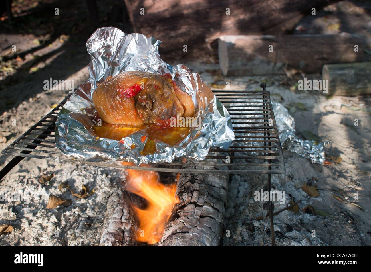 https://c8.alamy.com/comp/2CW8WGB/pork-leg-meat-in-foil-is-heated-on-an-open-fire-on-a-barbecue-in-nature-background-2CW8WGB.jpg