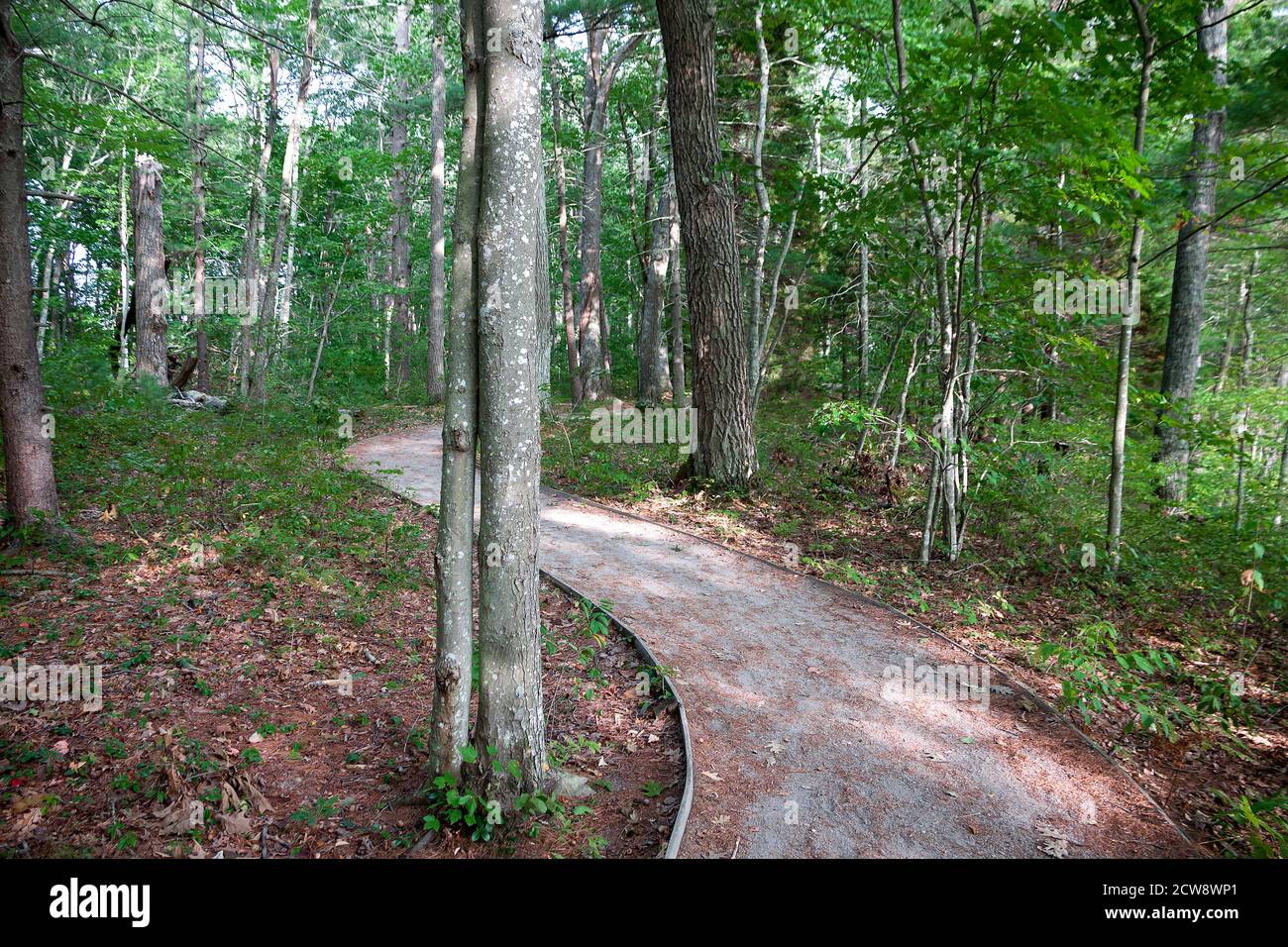 Nature Trail in Rachel Carson National Wildlife Refuge in Wells, Maine. Stock Photo