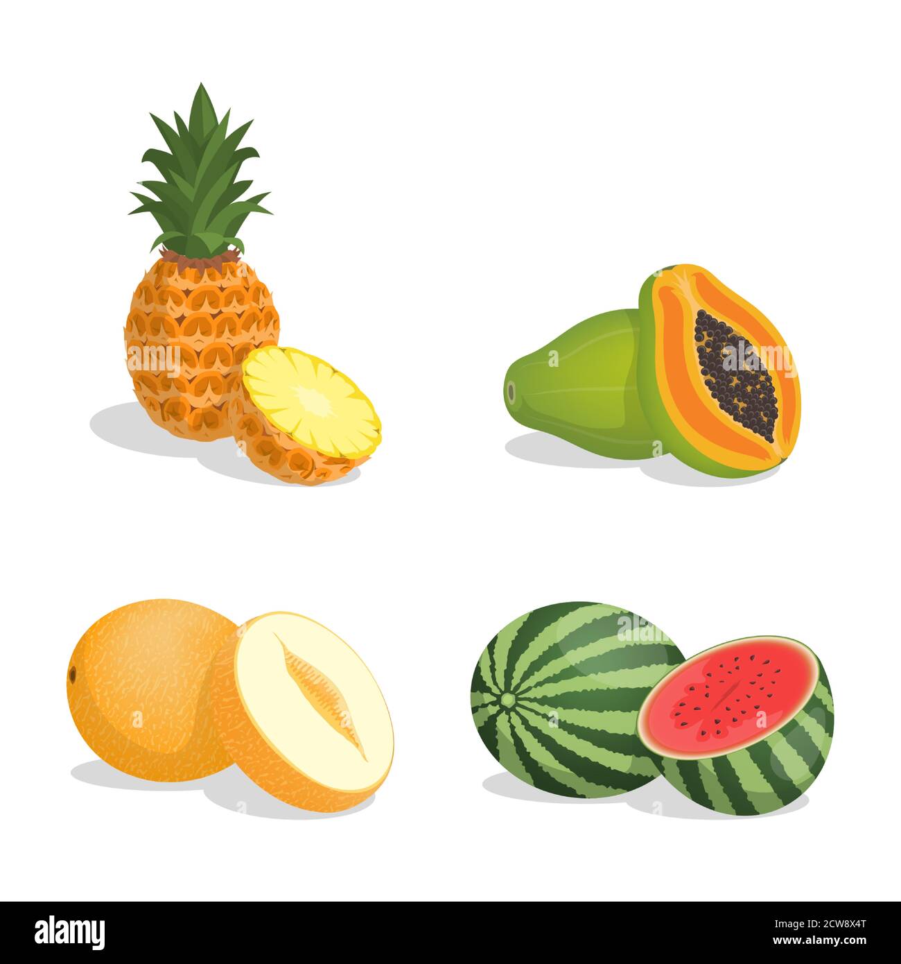 Pineapple melon fruit on Stock Vector Images - Alamy